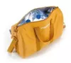 купить Сумка холодильник Dometic Icon 10 Coolbag Yellow в Кишинёве 