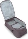купить Туристический рюкзак Osprey Fairview 40 Graphite Purple Backpack (810165745957) в Кишинёве 