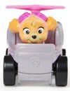 cumpără Mașină Spin Master 6070242 Patrula Cățelușilor (în asort.) în Chișinău 