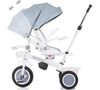 купить Велосипед-коляска Chipolino TRKMRT02403AS Marathon ash grey в Кишинёве 