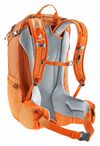 cumpără Rucsac turistic Deuter Futura 27 chestnut-mandarine în Chișinău 