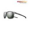 купить Защитные очки Julbo THE STREET GRAY RV GC 1-3 FAR в Кишинёве 