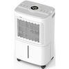 купить Осушитель воздуха EvoAir Dryora 12, 12 л/24 ч, датчик влажности, непрерывное осушение, сушилка для одежды, в Кишинёве 