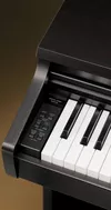 купить Цифровое пианино Kawai KDP120 R в Кишинёве 