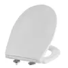 cumpără Capac WC miscellaneous Duraplast BEMIS NOLA WHITE 2201BPBTF000 în Chișinău 