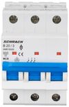 купить Автомат дифференциальный Schrack Technik AM618340 (MCB) Amparo 6kA, B 40A, 3P в Кишинёве 