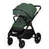 купить Детская коляска Lionelo Carucior 2in1 Layla Green Forest в Кишинёве 