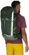 купить Туристический рюкзак Osprey Talon 33 green canopy/pine leaf в Кишинёве 