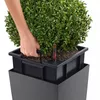 cumpără Ghiveci pentru flori Lechuza Cubico Premium 30, White în Chișinău 