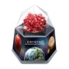 купить Набор для творчества 4M 00-03929 Crystal Imaginations Red в Кишинёве 