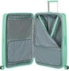 купить Чемодан Samsonite Fastforward 68/25 TSA Exp Menta (155260/A942) в Кишинёве 