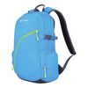 купить Рюкзак Husky Nexy 20 L, WAN3H3-7279 в Кишинёве 