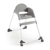 cumpără Scaun de masă Bright Starts 12332 Scaun de masa 3 in 1 Ingenuity Nash în Chișinău 