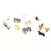 купить Игрушка ICOM 7169012 Набор животных в Кишинёве 