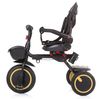 cumpără Bicicletă-cărucior Chipolino 360 Quick Fold Graphite (TRKQF0232GT) în Chișinău 