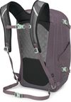 cumpără Rucsac pentru oraș Osprey Nebula 32 Graphite/Purple (810165743922) în Chișinău 