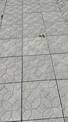 Bибролитая тротуарная плитка 50x50 