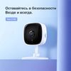 купить Камера наблюдения TP-Link Tapo C100 в Кишинёве 