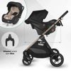 cumpără Сărucior pentru copii Coccolle Hapi Soley H2003 Carucior 3/1, Simply Taupe în Chișinău 