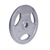 Disc metal cu manere 15 kg, d=30 mm inSPORTline Hamerton 12712 (1177) 