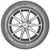 cumpără Anvelopă Dunlop 235/55 R17 99V Winter Sport 5 în Chișinău 