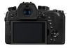 купить Фотоаппарат компактный Panasonic DC-FZ10002EE в Кишинёве 