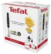 купить Блендер погружной Tefal HB943838 в Кишинёве 