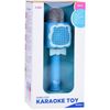 купить Музыкальная игрушка Essa 3002 Microfon karaoke wireless cu Bluetooth (în asort.) в Кишинёве 