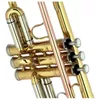 cumpără Instrument muzical de suflat Startone STR 25 trompeta în Chișinău 
