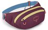 купить Поясная сумка Osprey Daylite Waist moody burgundy hip (810145598719) в Кишинёве 