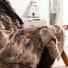 cumpără Textile de casă Bugatti fashion 3951/830 Fur Decke Brown în Chișinău 