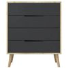 купить Комод Trendy Flora-Sapphire Oak, Anthracite, 78x95x45cm (GTR008149) в Кишинёве 