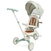 купить Велосипед-коляска Toyz 0360 Faro Green в Кишинёве 