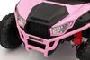 cumpără Mașină electrică pentru copii Kikka Boo 31006050424 Candy Buggy Pink în Chișinău 