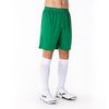 купить Одежда для спорта Joma Short Nobel Green (L) 100053.450 в Кишинёве 