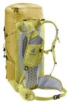 cumpără Rucsac turistic Deuter Speed Lite 30 linden-sprout în Chișinău 