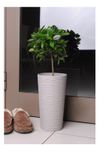 cumpără Ghiveci pentru flori Aleana 115098 Fiujin d35.5x66 cm, cacao în Chișinău 