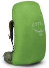 cumpără Rucsac turistic Osprey Atmos AG 65 mythical green L/XL (843820131475) în Chișinău 