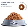 купить Корм для питомцев CLUB 4 PAWS 24230944 Pachet pisici urinar 2 kg в Кишинёве 