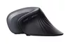 купить Мышь Trust Verro Vertical Ergonomic Wireless, right-handed, Black в Кишинёве 