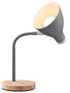 купить Настольная лампа Tracer Scandi Grey Desk lamp в Кишинёве 