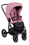 купить Детская коляска Kikka Boo 31001020128 Carucior 2 in 1 Amani Pink в Кишинёве 