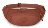 купить Поясная сумка Osprey Daylite Waist porcelain orange hip (810165743359) в Кишинёве 