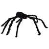 купить Декор Promstore 58234 Suvenir Halloween Paianjen 90/35x26x9cm в Кишинёве 