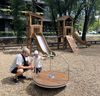 купить Детская площадка PlayPark 1304 Carusel RB-24 в Кишинёве 