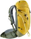 купить Рюкзак спортивный Deuter Trail 30 turmeric-khaki в Кишинёве 