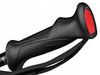 купить Лыжные палки Rossignol TACTIC BLACK/RED 120 в Кишинёве 