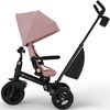 купить Велосипед-коляска KinderKraft KRAVEO02PNK0000 Aveo 2 Plus Pink в Кишинёве 