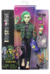 cumpără Păpușă Mattel HHK56 Monster High în Chișinău 