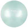 cumpără Minge inSPORTline IN29176-2 gimnastica d=55 cm MINT +pompa în Chișinău 